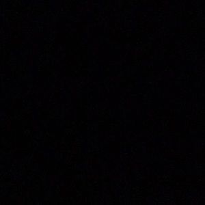 Meet your Posher, Rikki